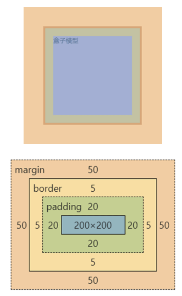 盒子模型