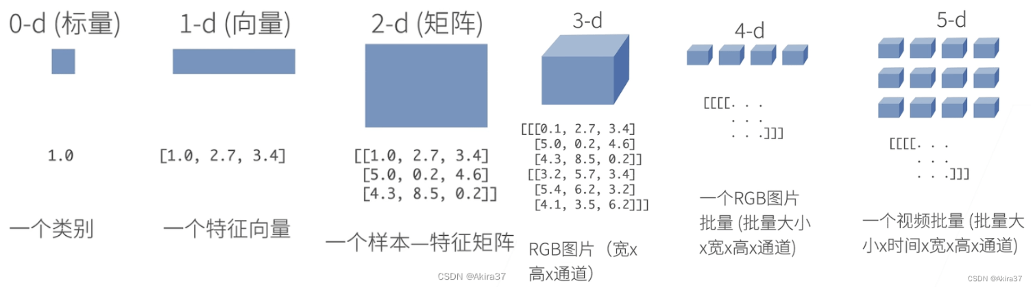 张量