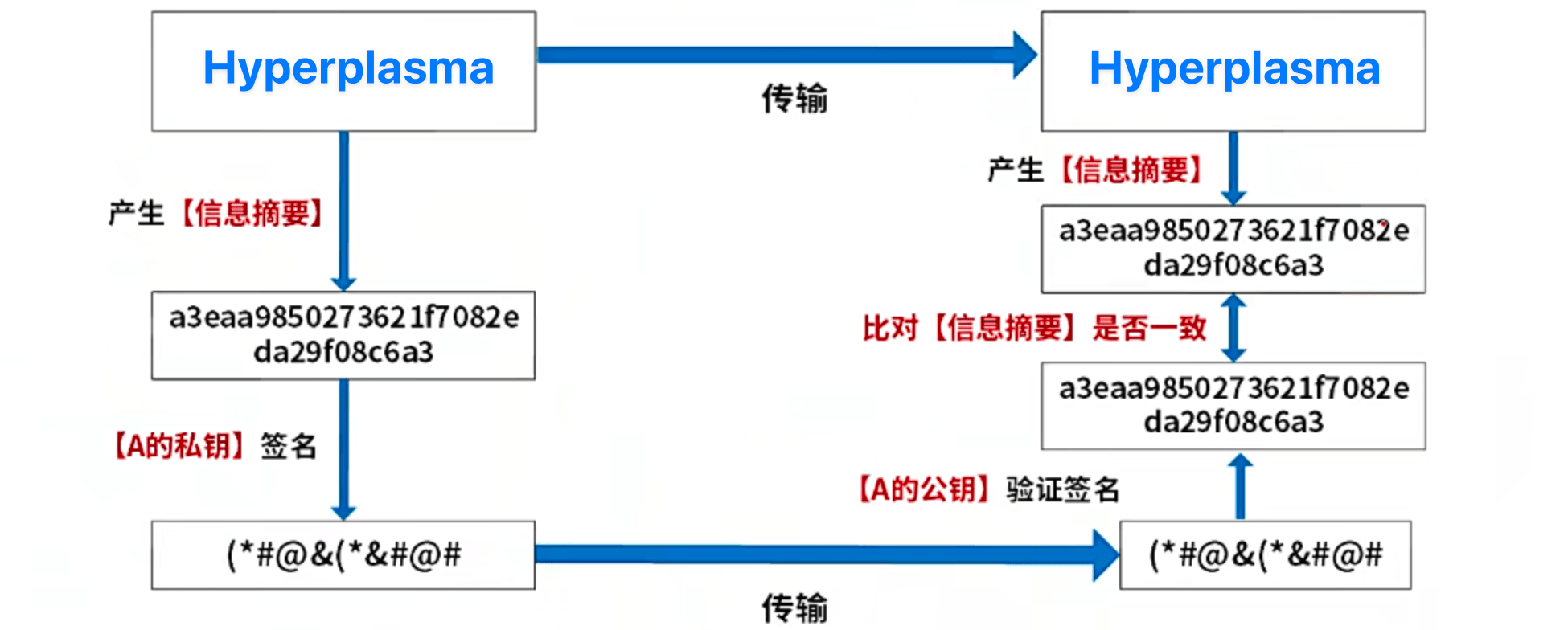 数字签名过程分析